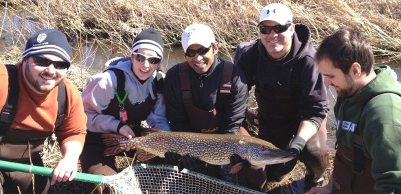 SHEDD - NPProject - UWGB SRD big pike COVER 1