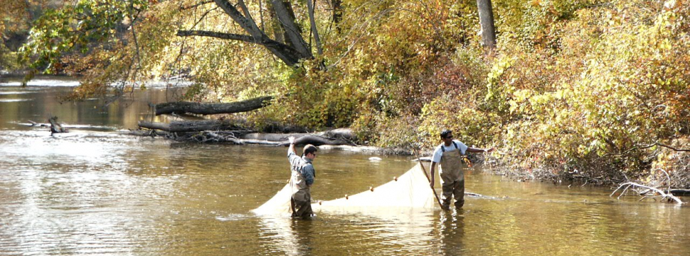 GarLab – Solomon R. David, PhD